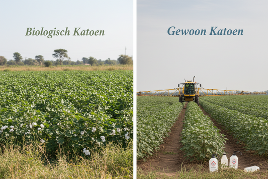 Waarom biologisch katoen beter is dan gewoon katoen? Eigengewijs